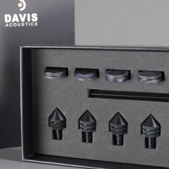 Davis Acoustics Courbet n8 garso kolonėlės